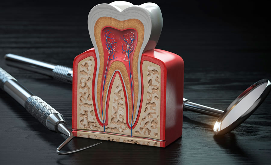 Endodontia | Sayd Odontologia